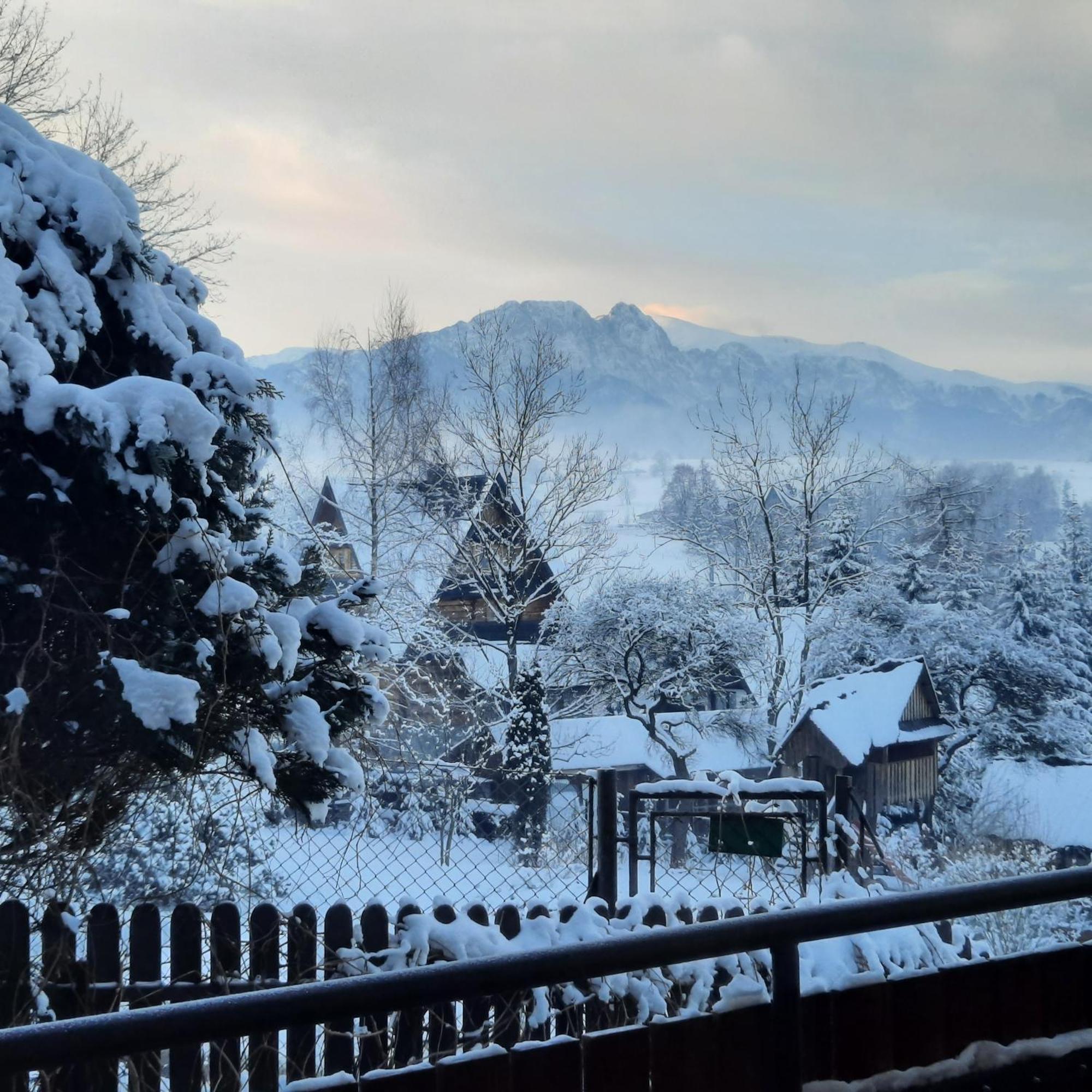 Willa U Bzyka Zakopane Luaran gambar